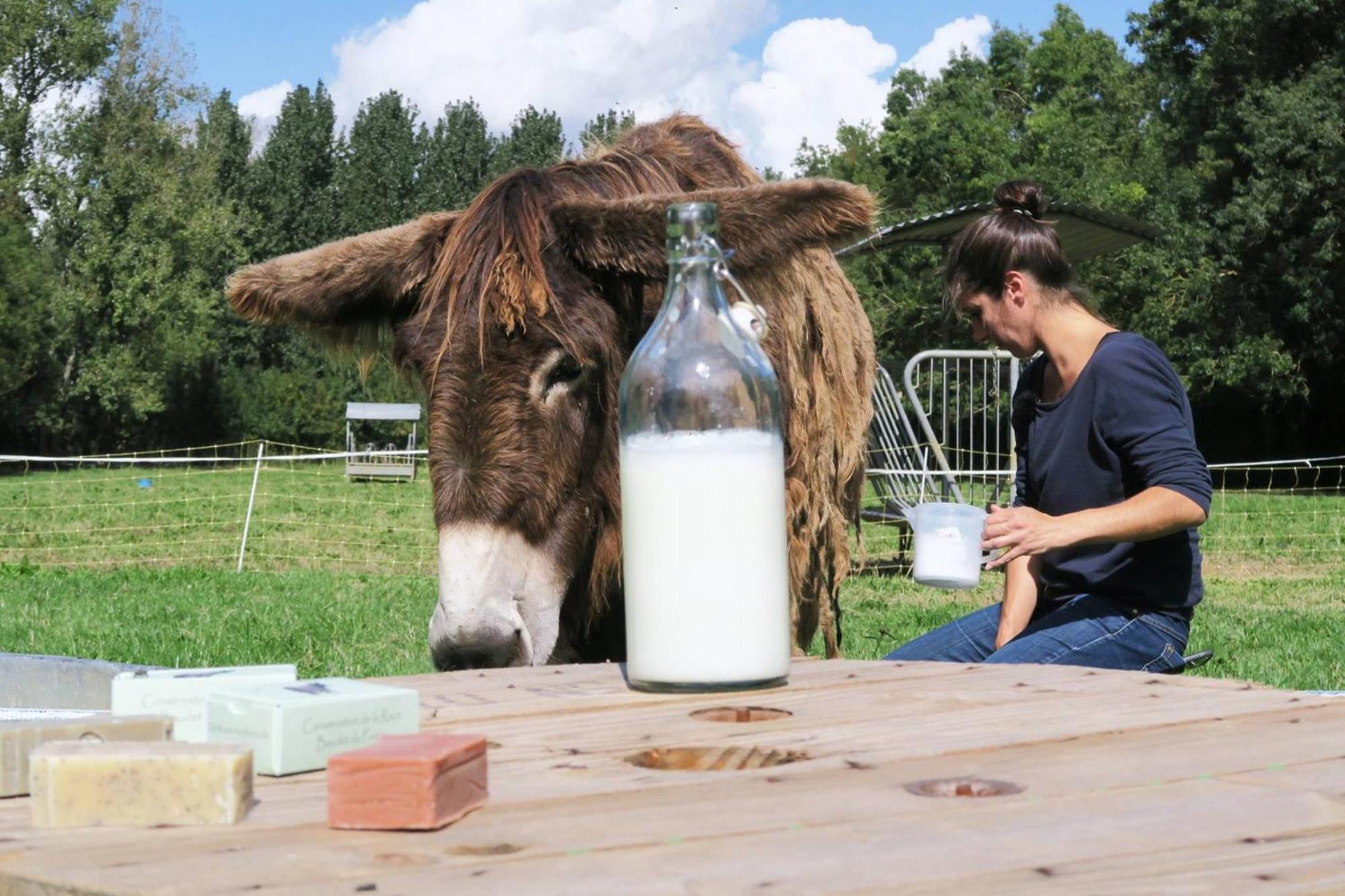 La Ferme Du Marais Poitevin - Roulotte Hotel Benet Ngoại thất bức ảnh