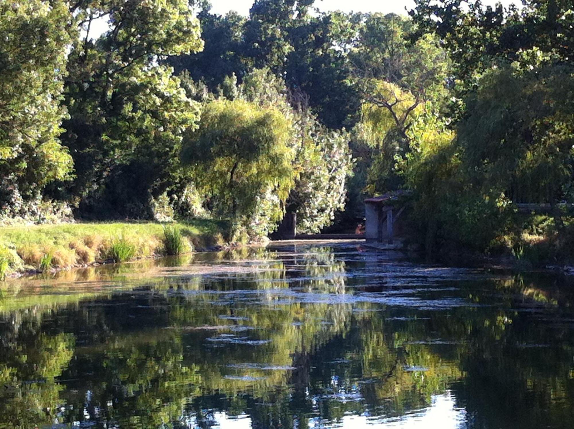 La Ferme Du Marais Poitevin - Roulotte Hotel Benet Ngoại thất bức ảnh